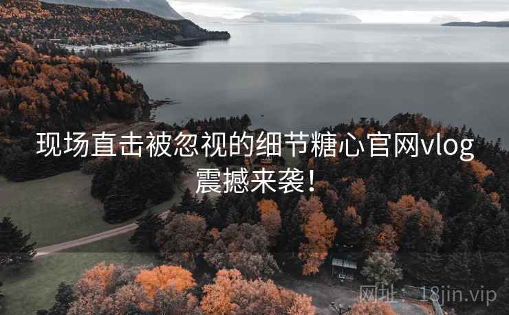 现场直击被忽视的细节糖心官网vlog震撼来袭！  第1张