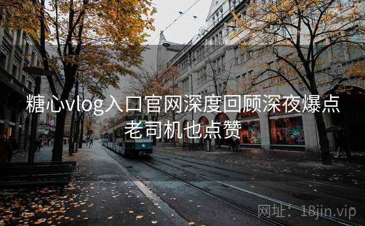 糖心vlog入口官网深度回顾深夜爆点老司机也点赞