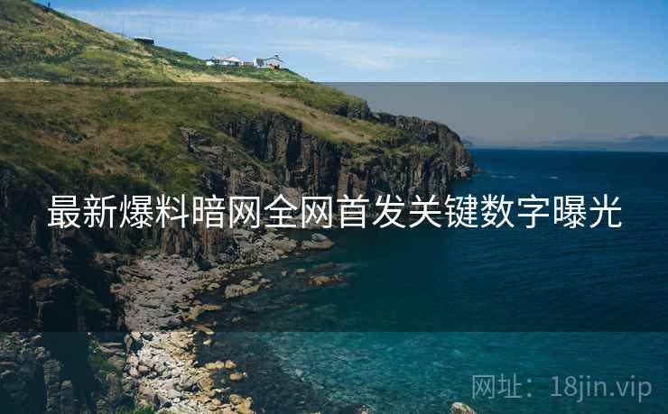 最新爆料暗网全网首发关键数字曝光  第2张