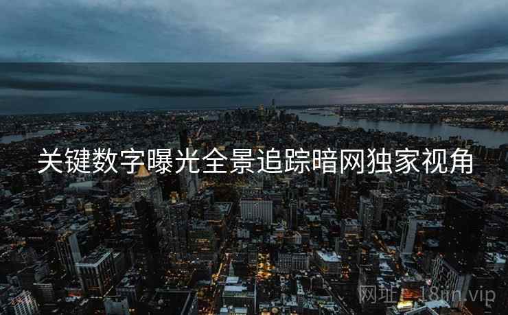 关键数字曝光全景追踪暗网独家视角
