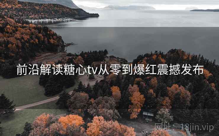 前沿解读糖心tv从零到爆红震撼发布
