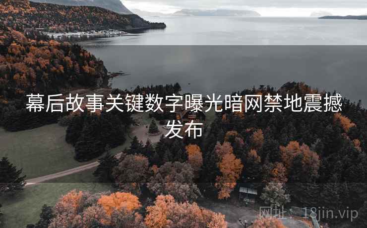幕后故事关键数字曝光暗网禁地震撼发布