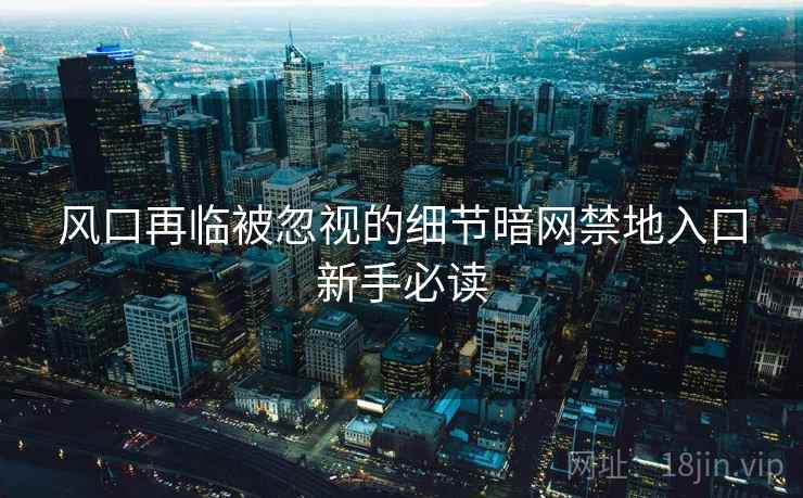 风口再临被忽视的细节暗网禁地入口新手必读