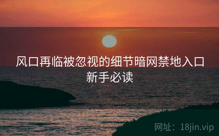 风口再临被忽视的细节暗网禁地入口新手必读