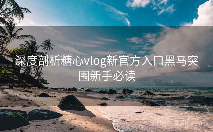 深度剖析糖心vlog新官方入口黑马突围新手必读  第1张