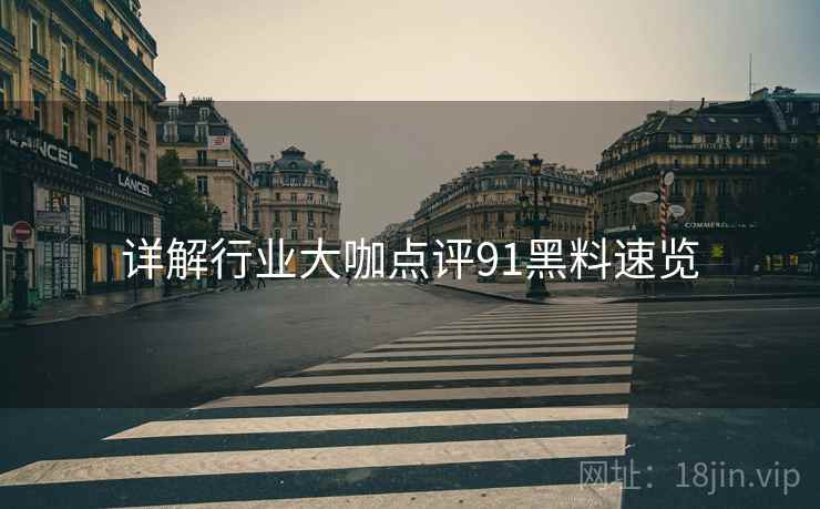 详解行业大咖点评91黑料速览  第1张