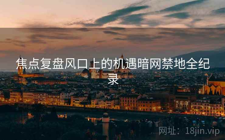 焦点复盘风口上的机遇暗网禁地全纪录  第1张