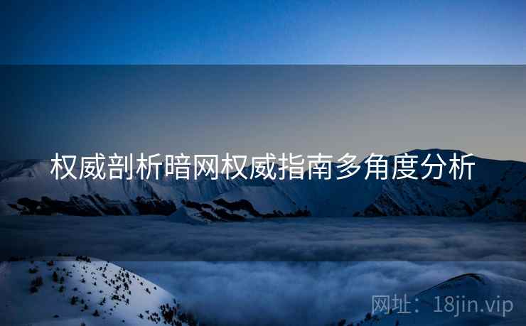 权威剖析暗网权威指南多角度分析  第2张