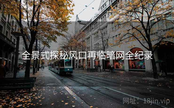 全景式探秘风口再临暗网全纪录  第1张