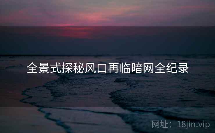 全景式探秘风口再临暗网全纪录  第2张