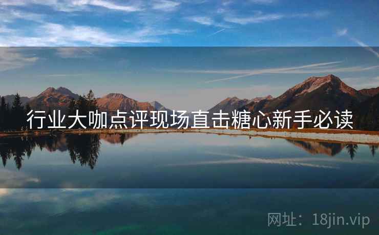 行业大咖点评现场直击糖心新手必读