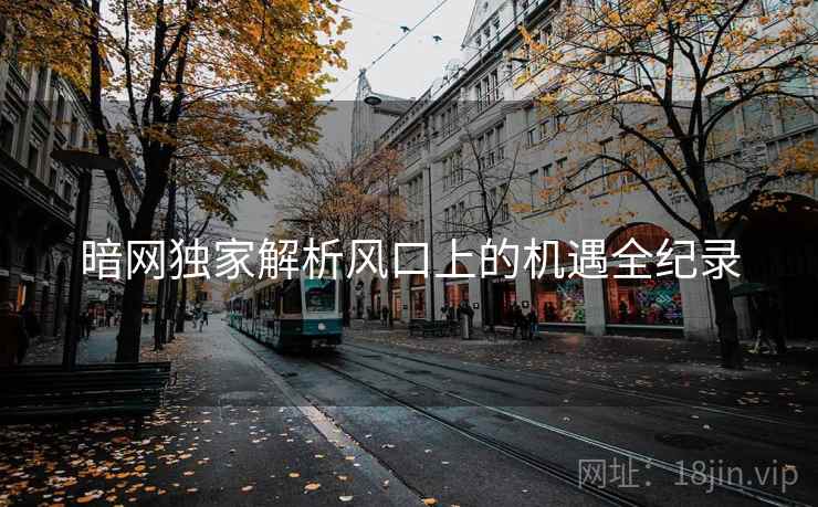 暗网独家解析风口上的机遇全纪录