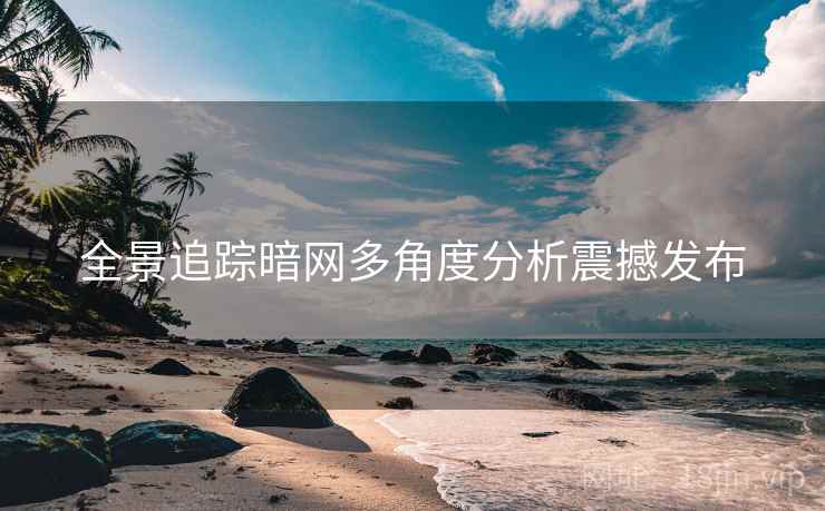 全景追踪暗网多角度分析震撼发布  第1张