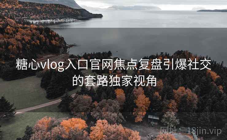 糖心vlog入口官网焦点复盘引爆社交的套路独家视角  第2张