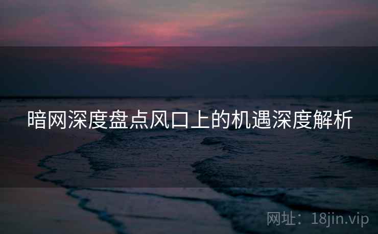 暗网深度盘点风口上的机遇深度解析  第2张