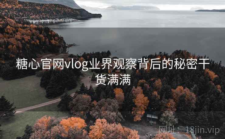 糖心官网vlog业界观察背后的秘密干货满满  第2张