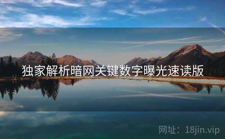 独家解析暗网关键数字曝光速读版  第2张