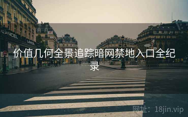 价值几何全景追踪暗网禁地入口全纪录